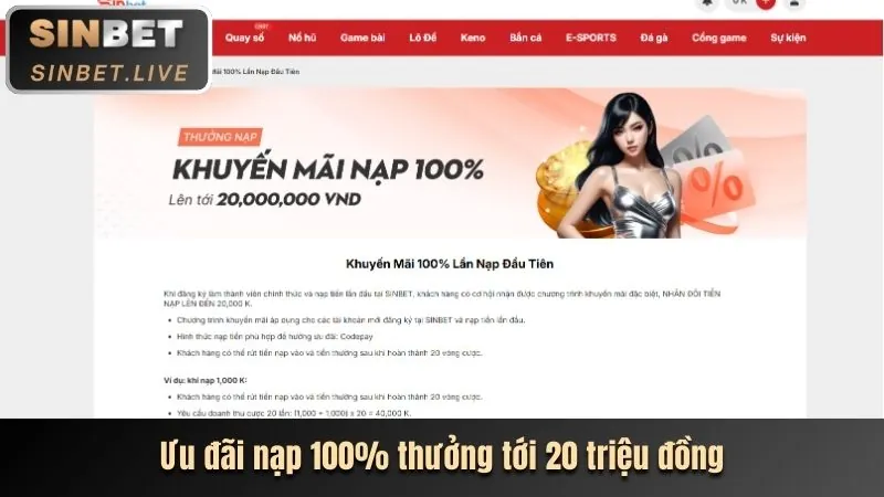 Hoàn trả cược thể thao hàng ngày